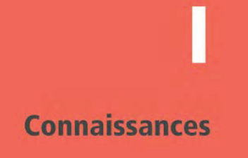 Le même détail après compression par Levarka. Le mot Connaissances et le chiffre romain sont nets, leurs contours sont francs.